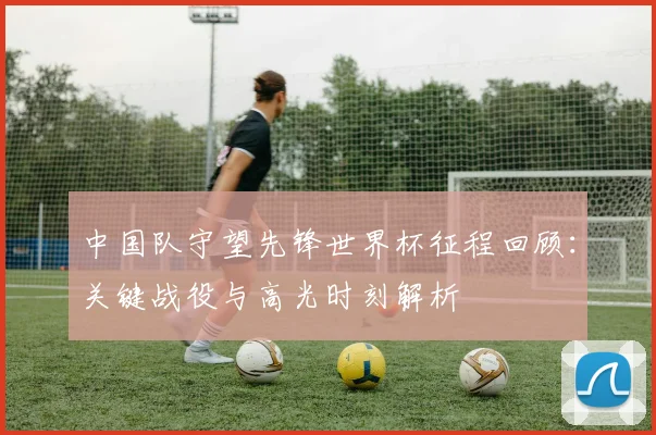中国队守望先锋世界杯征程回顾：关键战役与高光时刻解析